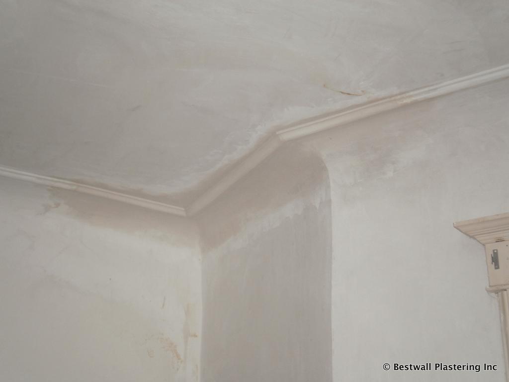 Putnam County, NY Plaster Molding Repair